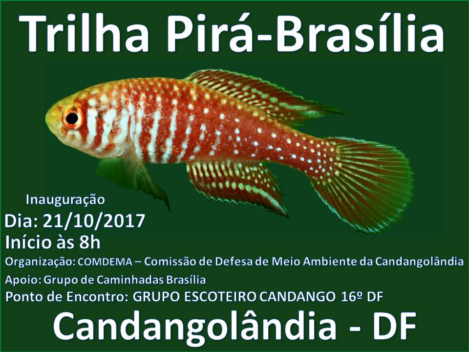 Trilha da Festa do Peixe está aberta